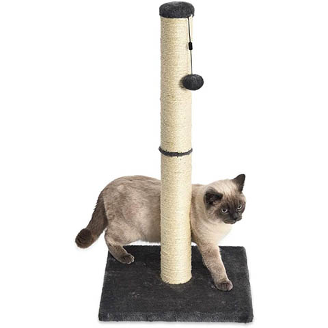Amazon Basics Medium Cat Scratching Post