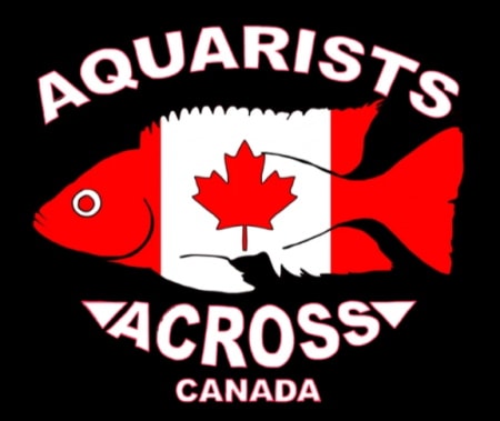 Aquarists Across Canada
