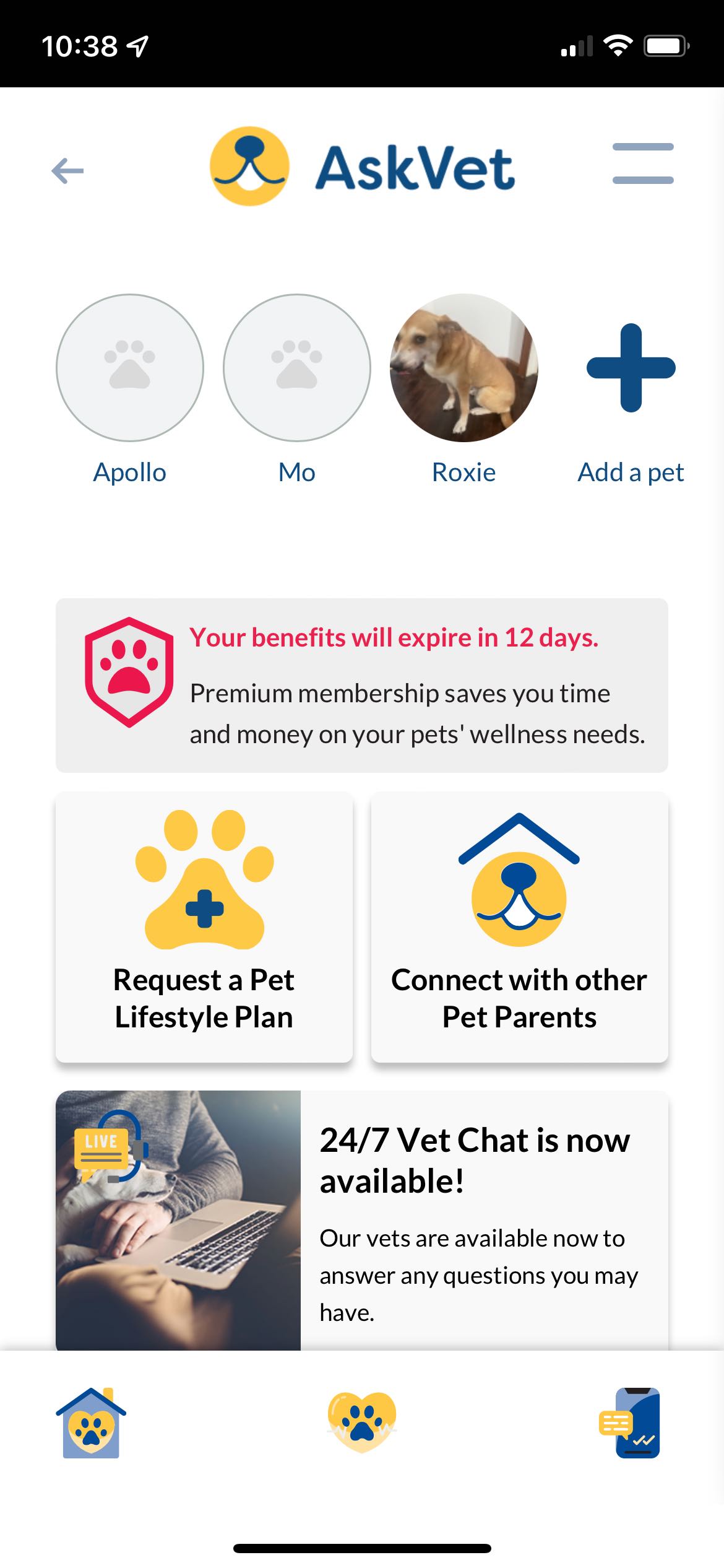 AskVet app screenshot options