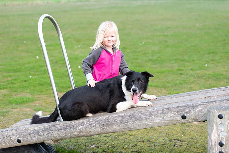 Asperger Syndrome plays with his sister and pet dog