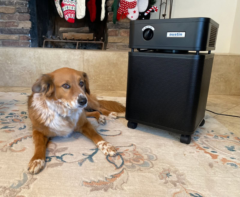 Austin HealthMate Air Purifier - halle lying beside the product