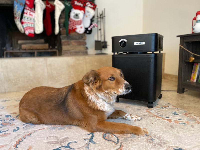Austin HealthMate Air Purifier - halle lying in front of the product