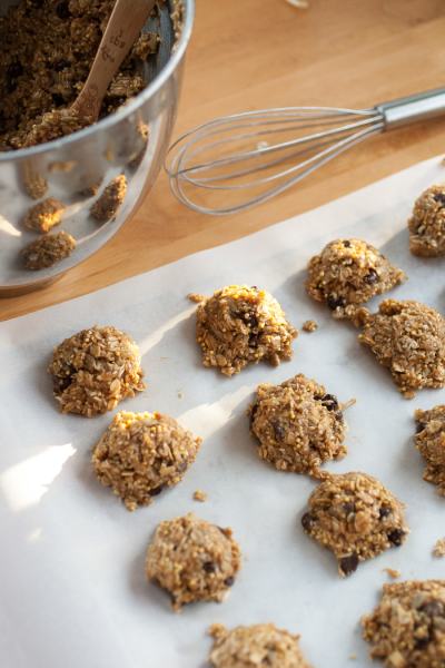 BIRDSEED COOKIES