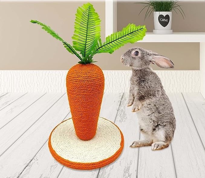 BNOSDM Rabbit Scratch Post Toy