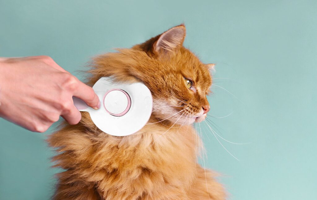 Hepper Brush - Long Hair Cat Orange 1