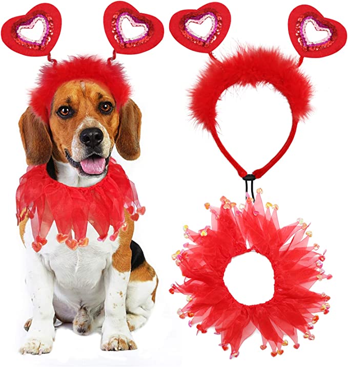 BWOGUE Valentine's Day Dog Costume
