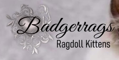 Badgerrags logo