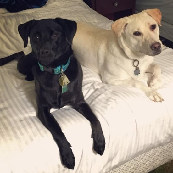 Barefoot Mailman Motel