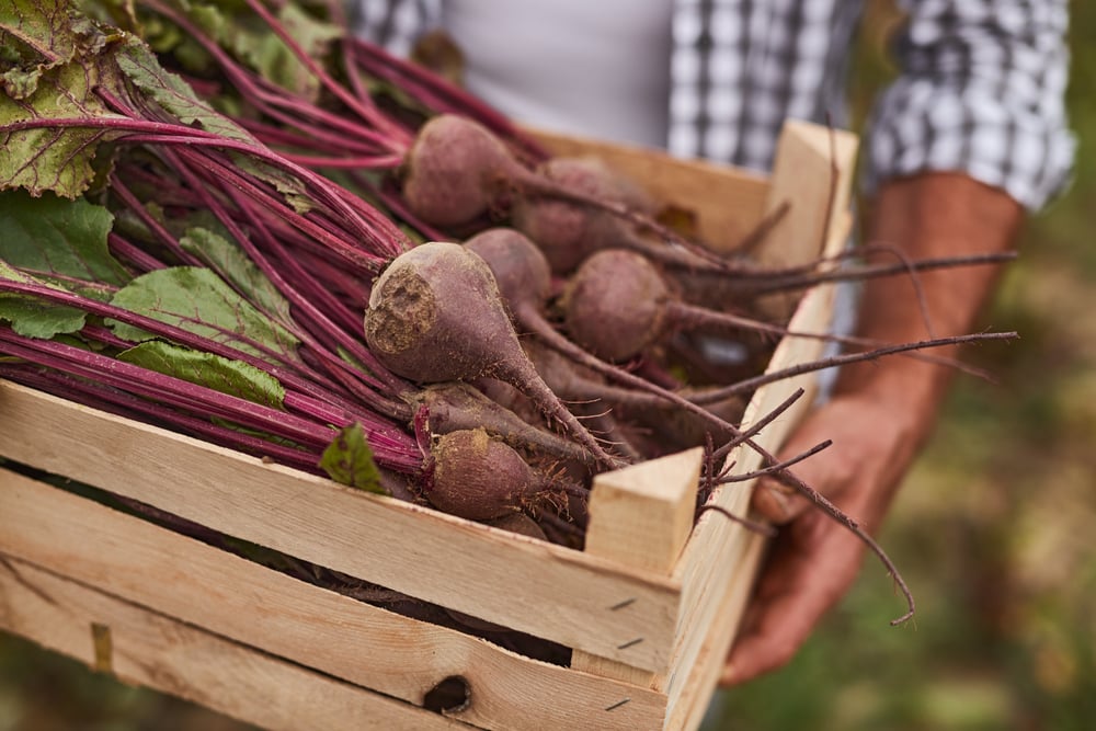 Beets on a wooden box