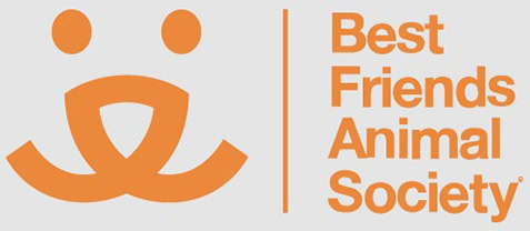 Best Friends, Multiple Locations