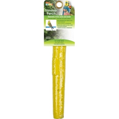 Bird Life Parakeet & Small Bird Perch