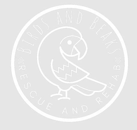 Birds and Beaks Rescue Logo