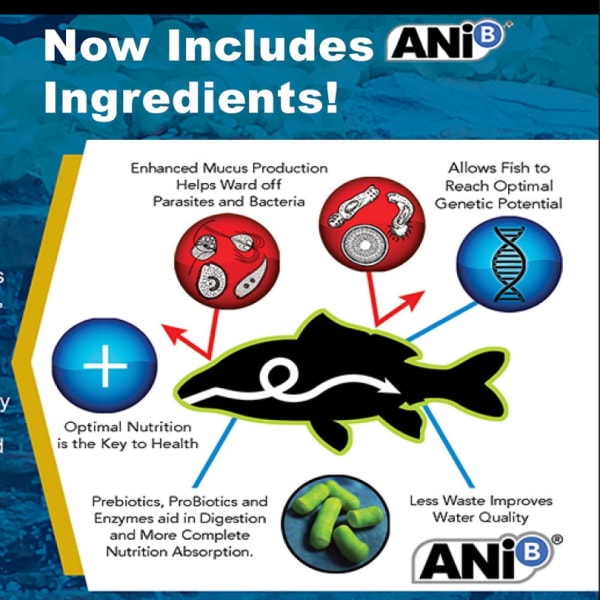 Blackwater Premium Koi and Goldfish Food label