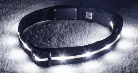 Blazin' Safety LED USB Rechargeable Nylon Dog Collar