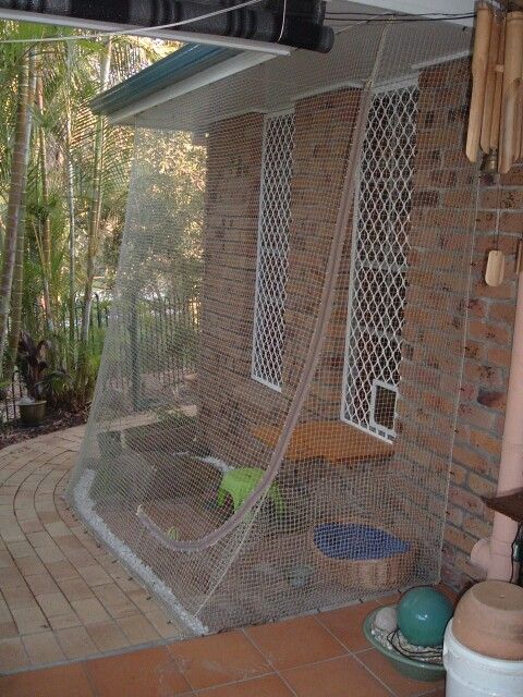 Budget-Friendly Catio