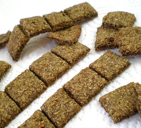 Bunneh’s Bunny Rabbit Treats