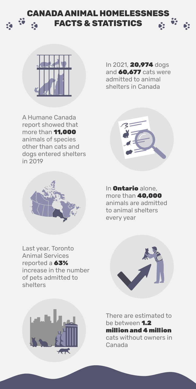 CANADA_ANIMAL_HOMELESSNESS_FACTS_&_STATISTICS