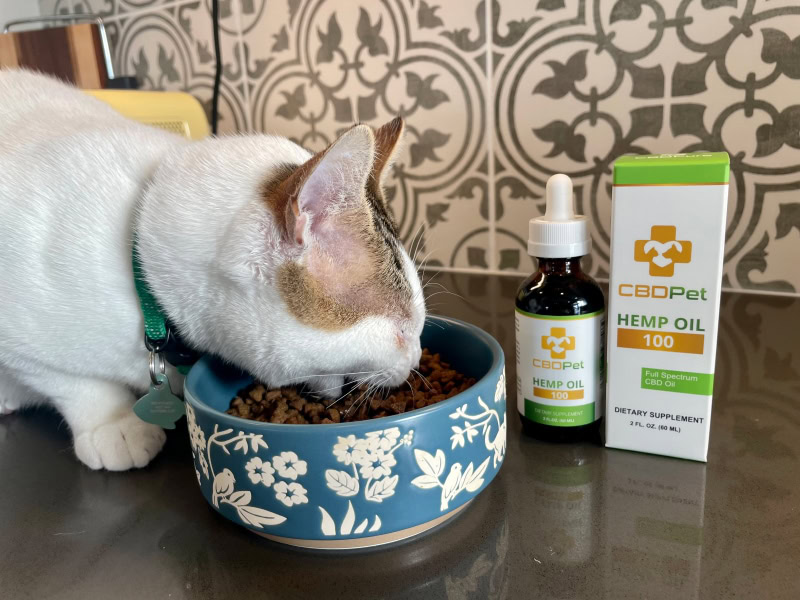 CBDPure CBDPet - makoa eating cat food with hemp oil