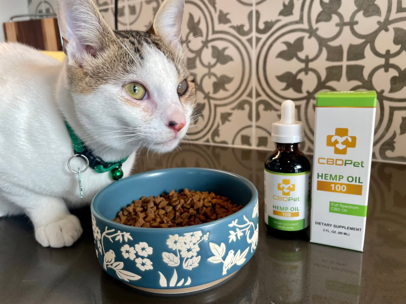 CBDPure CBDPet - makoa eating food with hemp oil