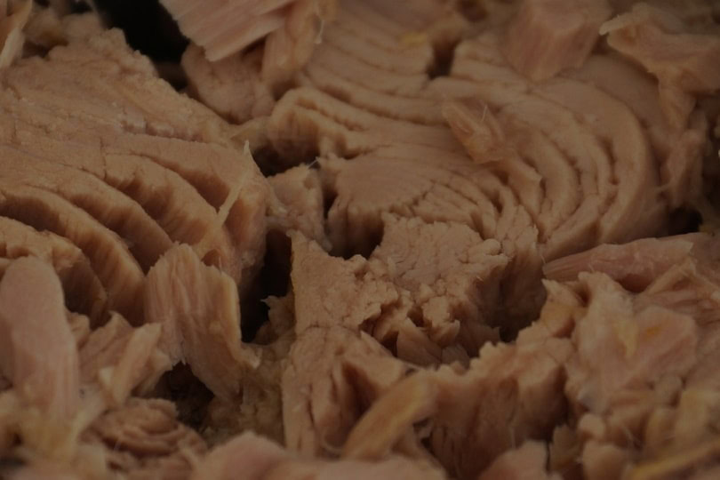 Canned tuna flakes
