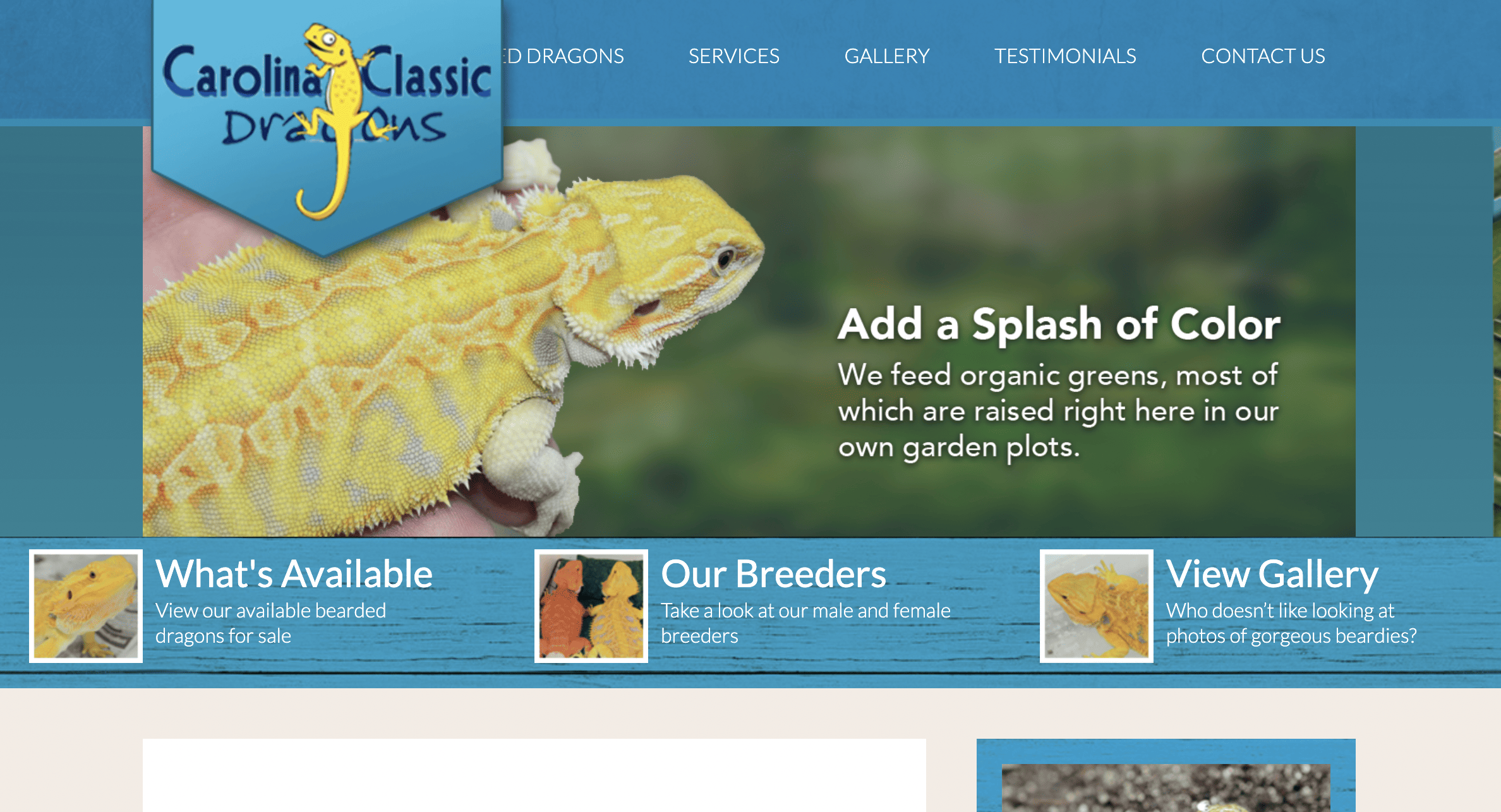 Carolina Classic Dragons