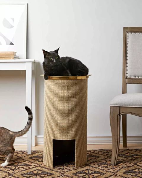 Cat Scratching Post1