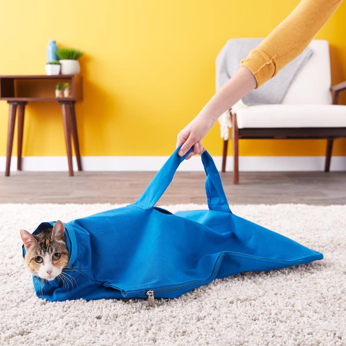 Cat-in-the-bag E-Z-Zip Cat Carrier