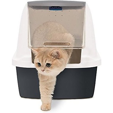 Catit Magic Blue Cat Litter Box