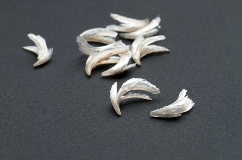 Cat's claws on a black surface