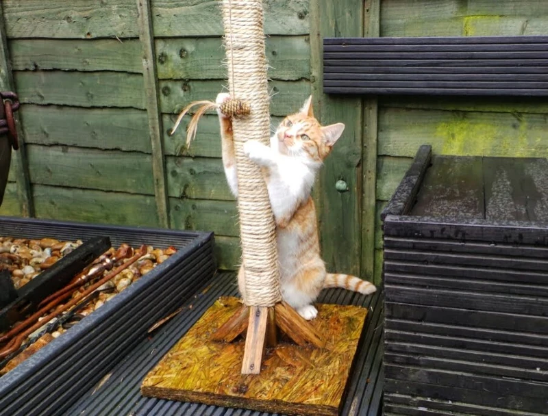 Cheap & Easy DIY Custom Large Cat Scratching Post