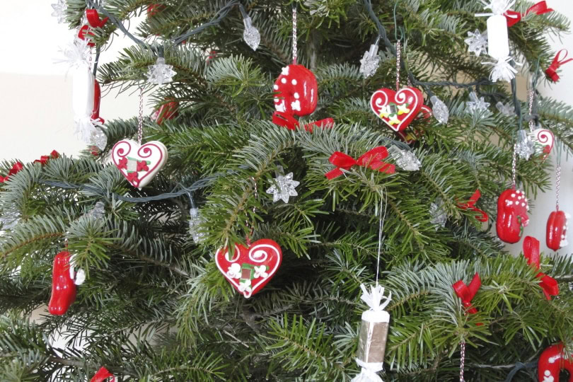 Christmas tree without lights