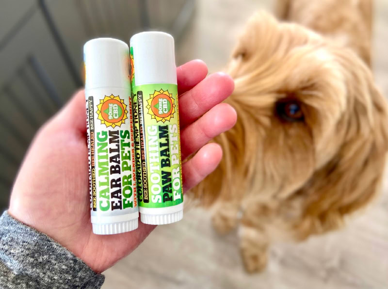  Colorado Hemp Honey CBD Dog Balm - micah sniffing the balm products