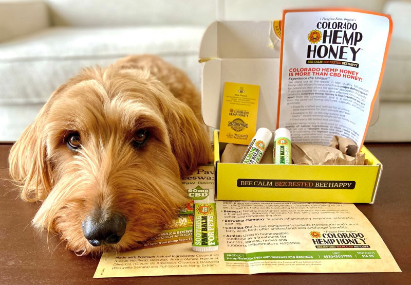  Colorado Hemp Honey CBD Dog Balm - unboxing products with micah