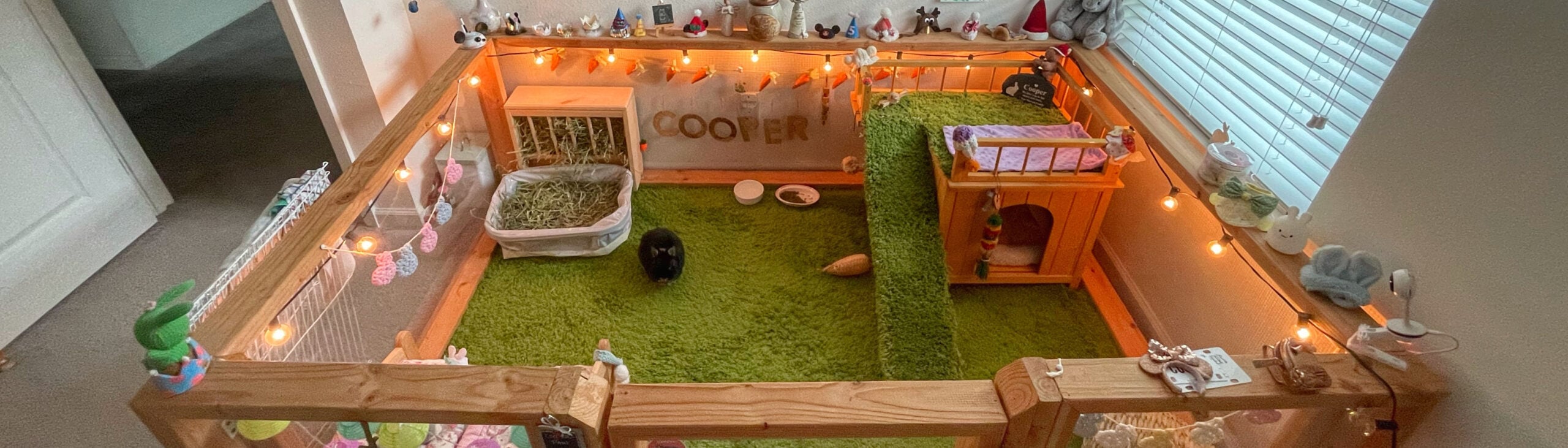 Cooper the Pooper DIY Rabbit Room