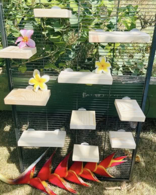 CrazyCritterThings Kiln Dried Pine Leaping Ledges Small Pet Habitat