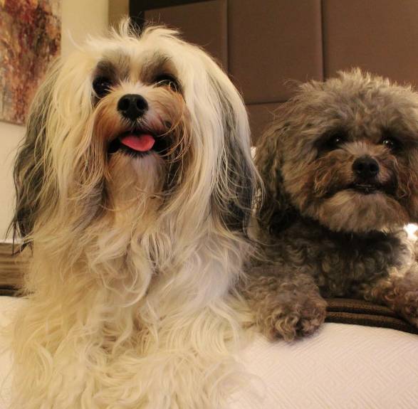 Crowne Plaza Knoxville Downtown University