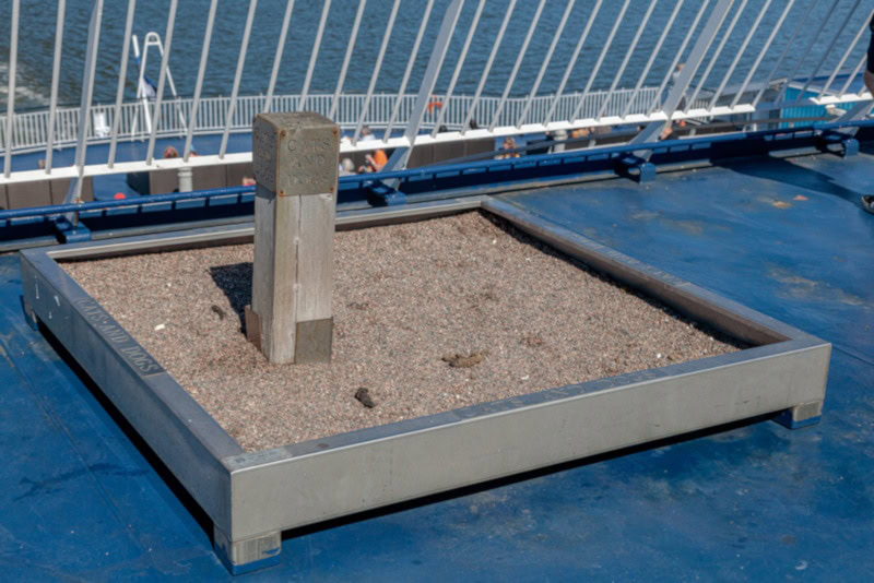 Custom-made dog liter box