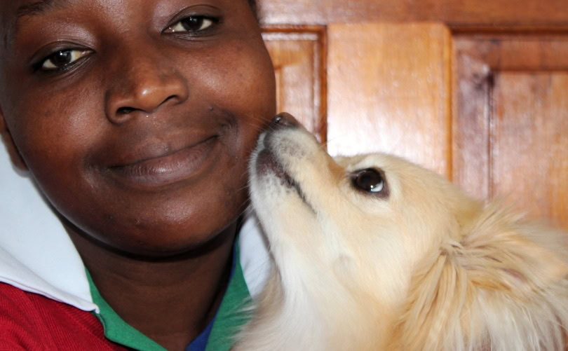 Cute dog licking woman's face