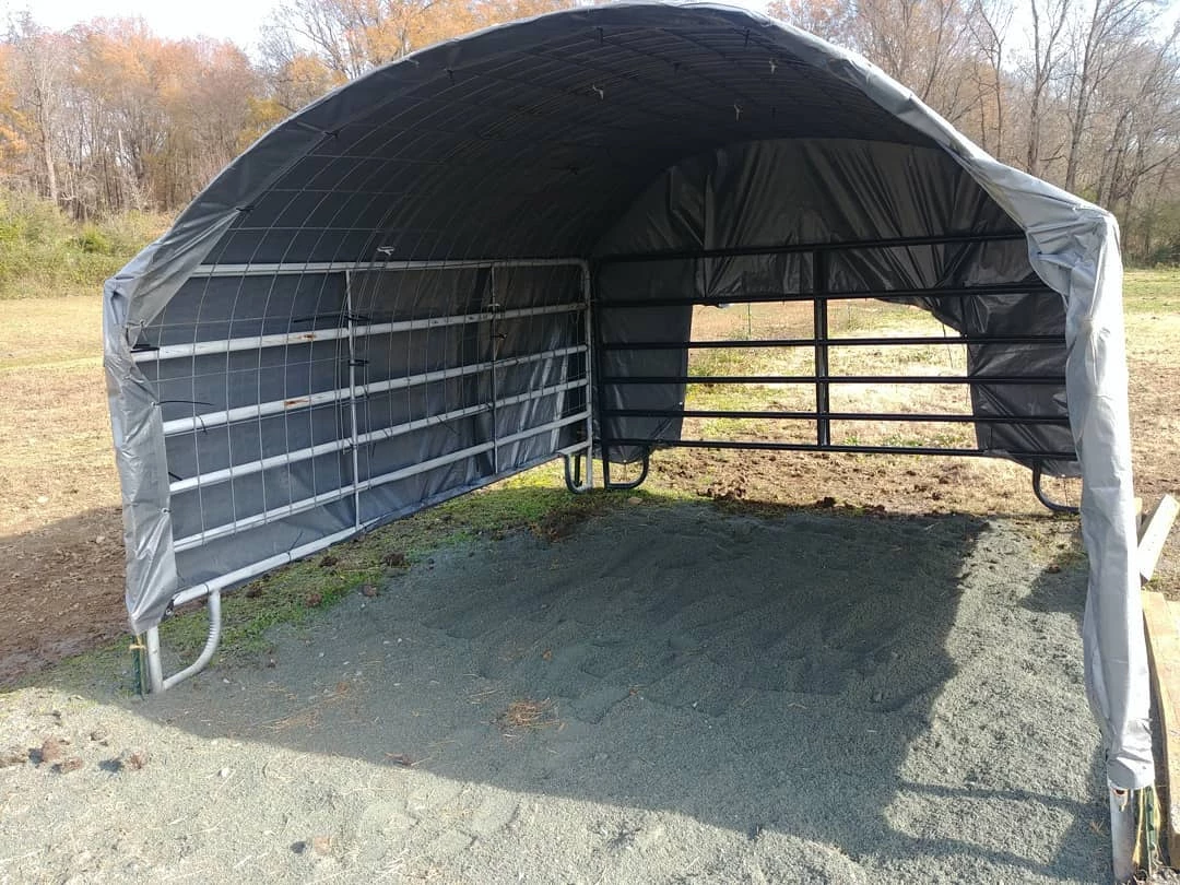 DIY Affordable Horse Shelter