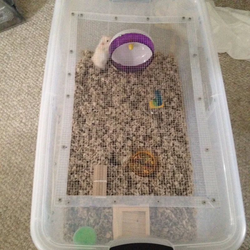 DIY Bin Cage for Your Hamster by Critter Mamas