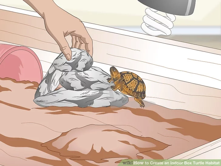 DIY Box Turtle Habitat