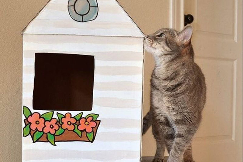 DIY Cardboard Box Cat Beds