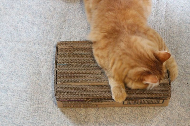 DIY Cardboard Cat Scratcher