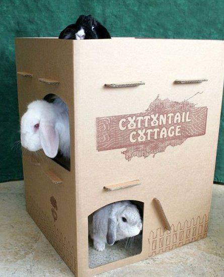 DIY Cardboard Cottage Chinchilla Toy Inspiration from Cats & Rabbits & More