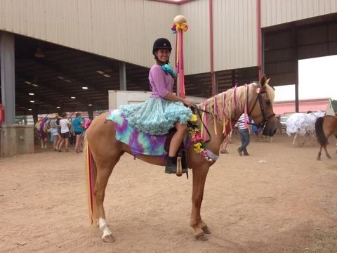 DIY Carousel Costume