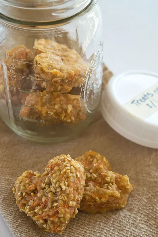 DIY Carrot Oat Applesauce Treats