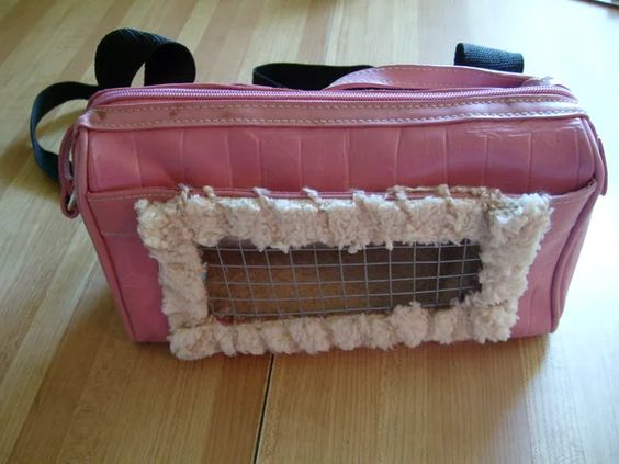 DIY Cat Carrier
