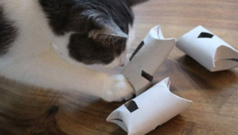 DIY Cat Feeder Puzzle