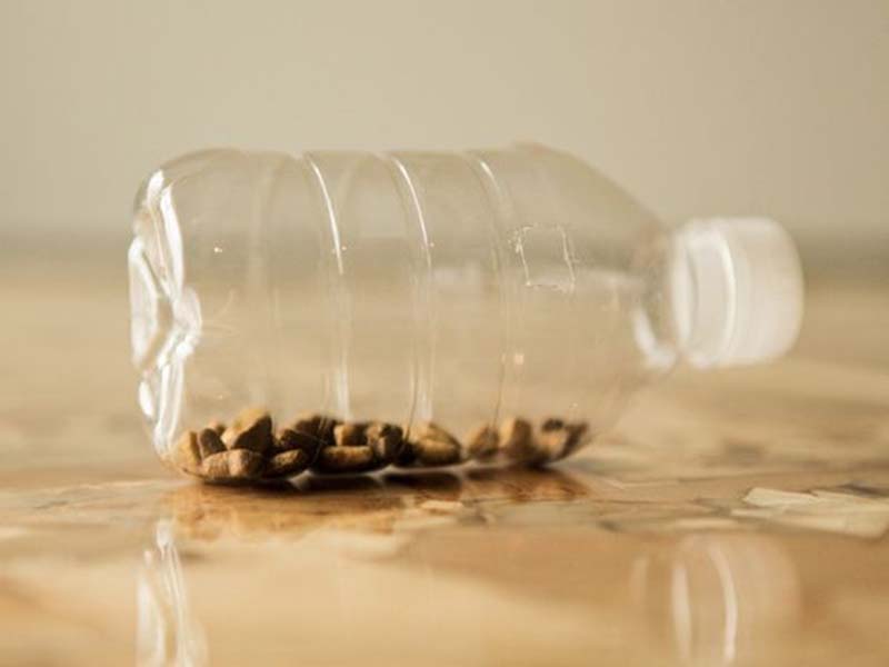 DIY Cat Feeder Puzzle