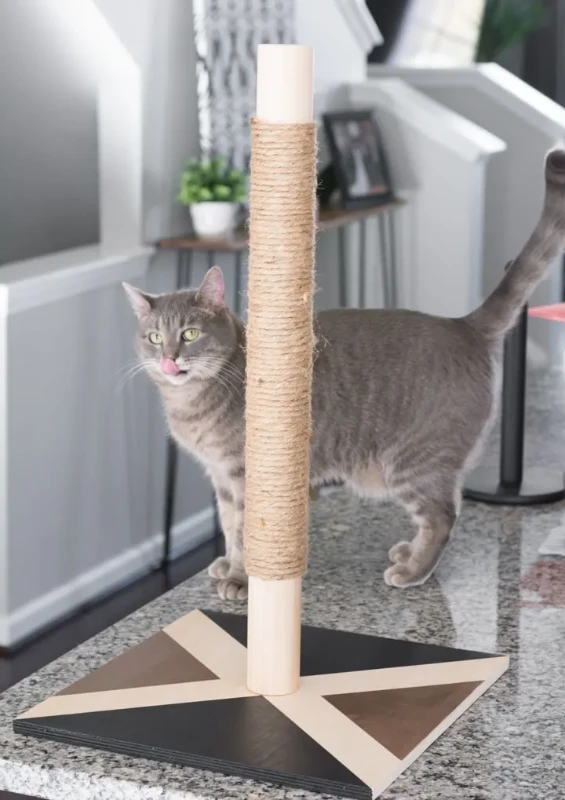 DIY Cat Scratcher